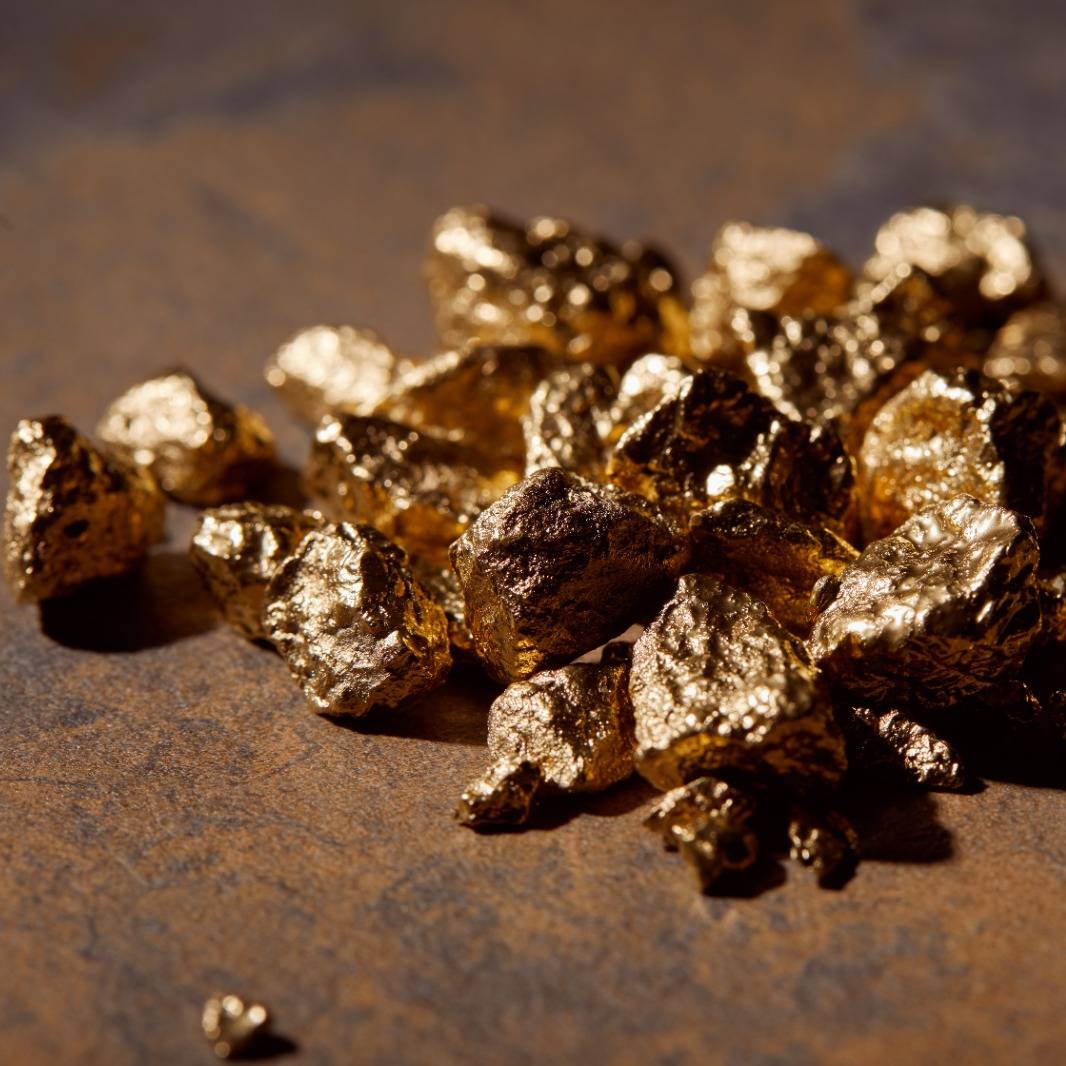 WhatsApp Image 2026-01-05 at 16.58.46 (1)